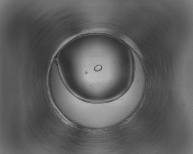 X0000067491436200604211647