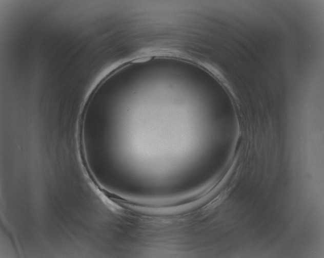 X0000067491438200604211647