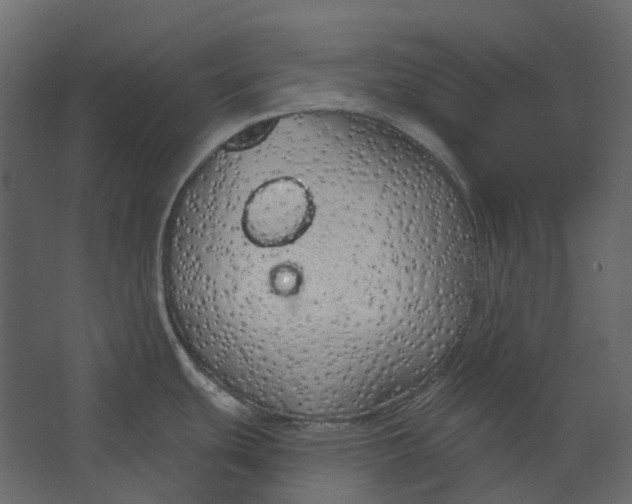 X0000067491439200604211647