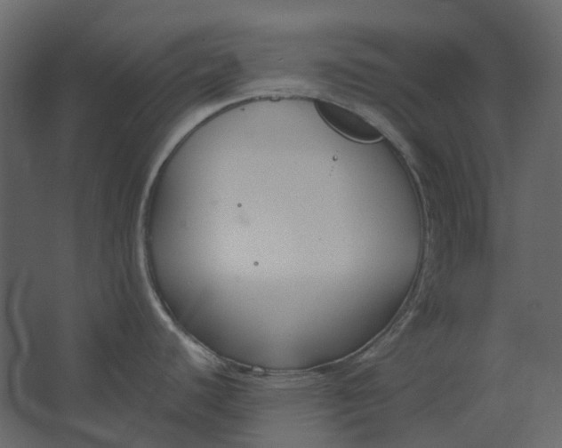 X0000067491440200604211647