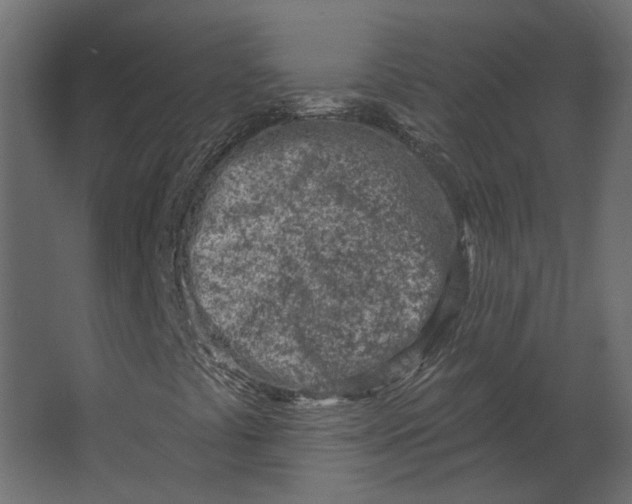 X0000067491441200604211647