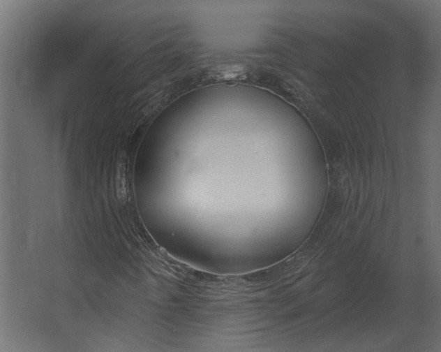 X0000067491442200604211647