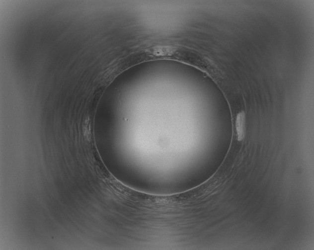 X0000067491443200604211647