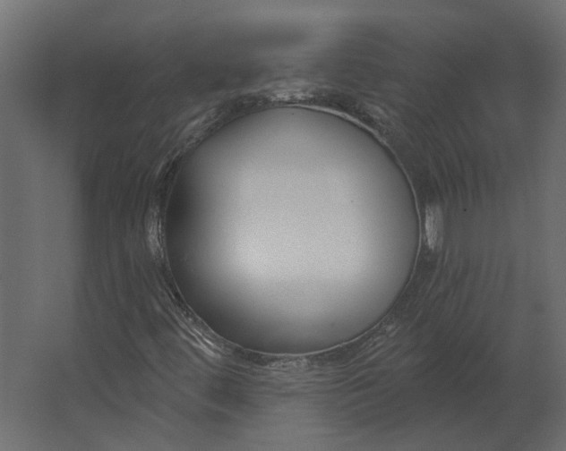 X0000067491444200604211647