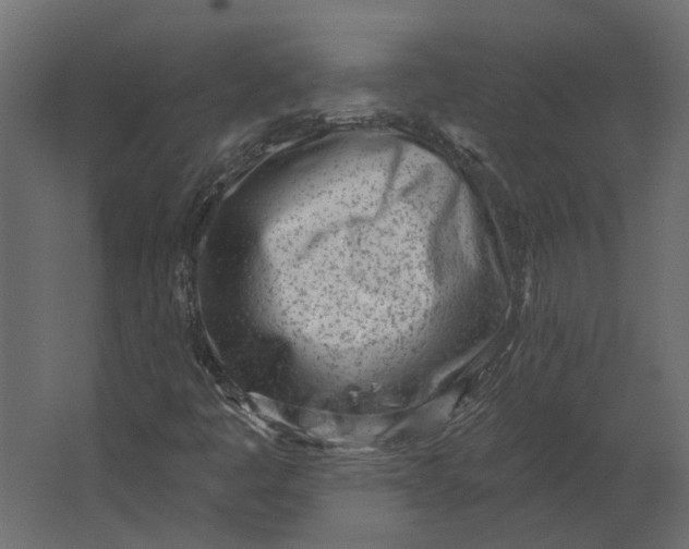 X0000067491445200604211647