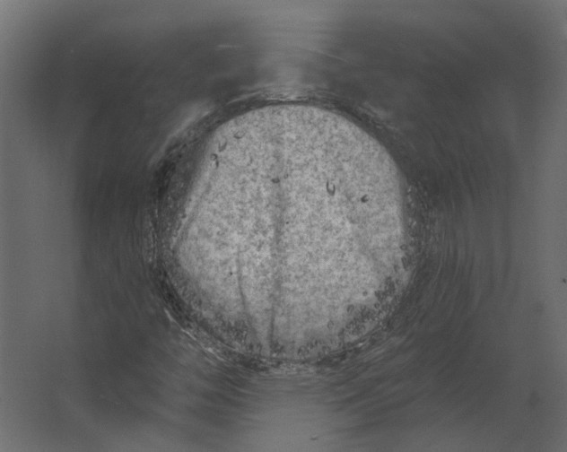 X0000067491446200604211647