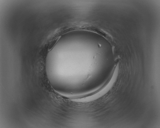 X0000067491447200604211647