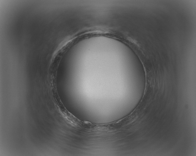 X0000067491448200604211646