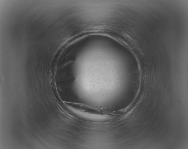 X0000067491449200604211646