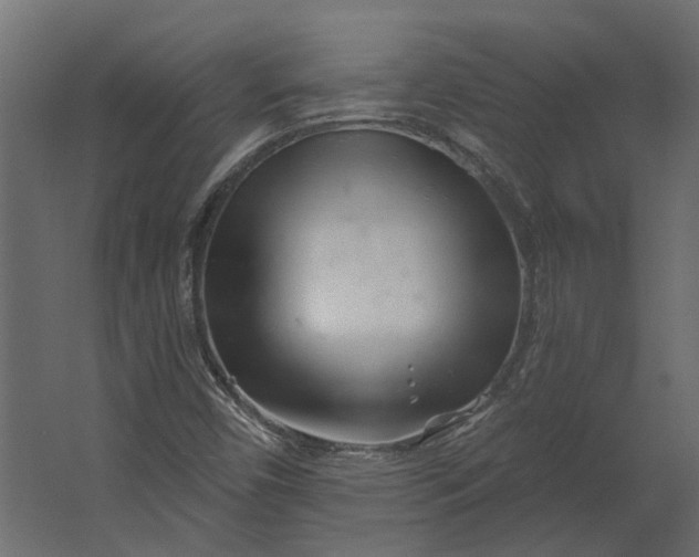 X0000067491450200604211646