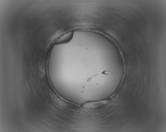 X0000067491451200604211646