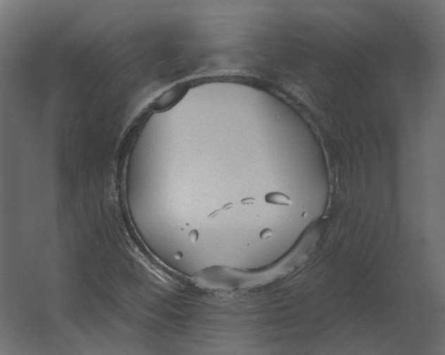 X0000067491452200604211646