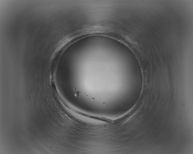 X0000067491453200604211646