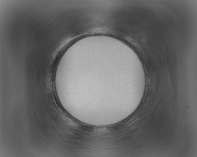 X0000067491454200604211646