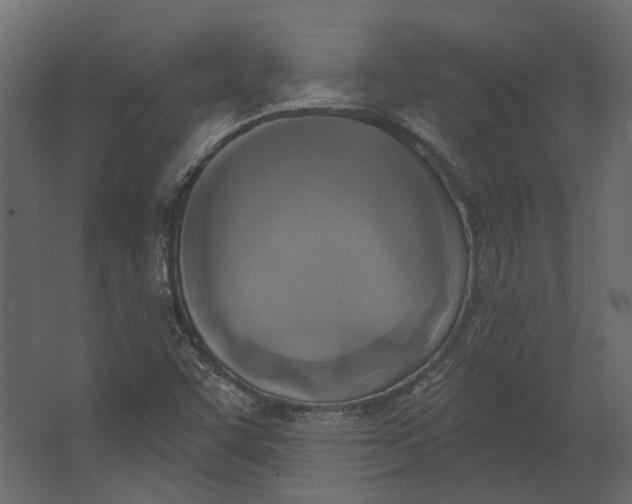 X0000067491455200604211646