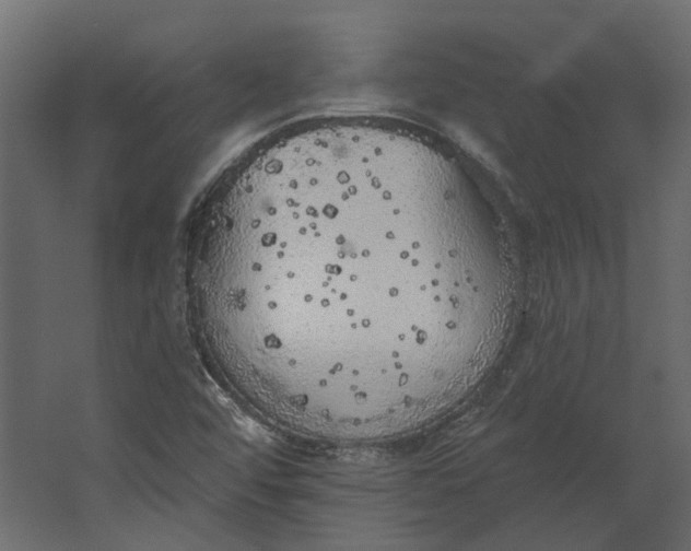 X0000067491456200604211646