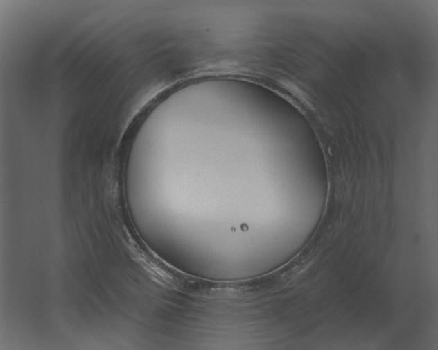 X0000067491458200604211646