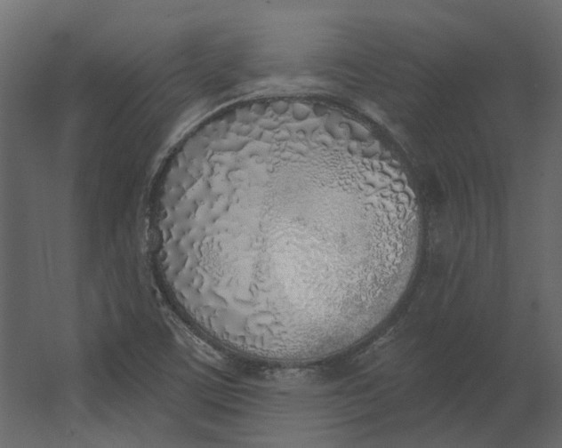 X0000067491459200604211646