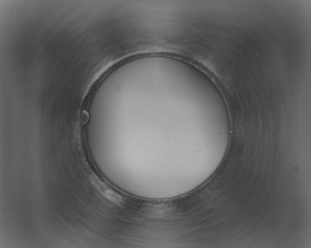 X0000067491460200604211646