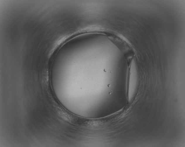 X0000067491461200604211646