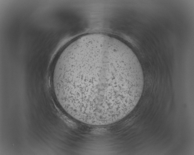 X0000067491462200604211646