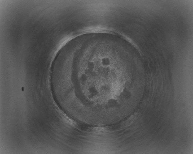 X0000067491463200604211646