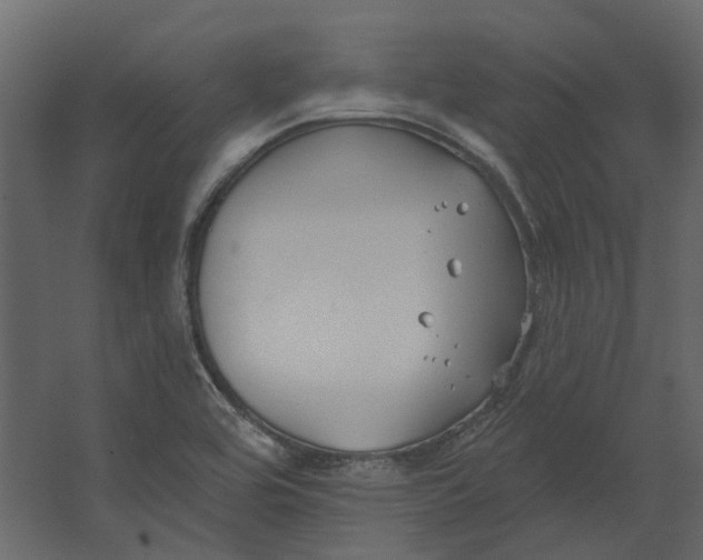 X0000067491464200604211646