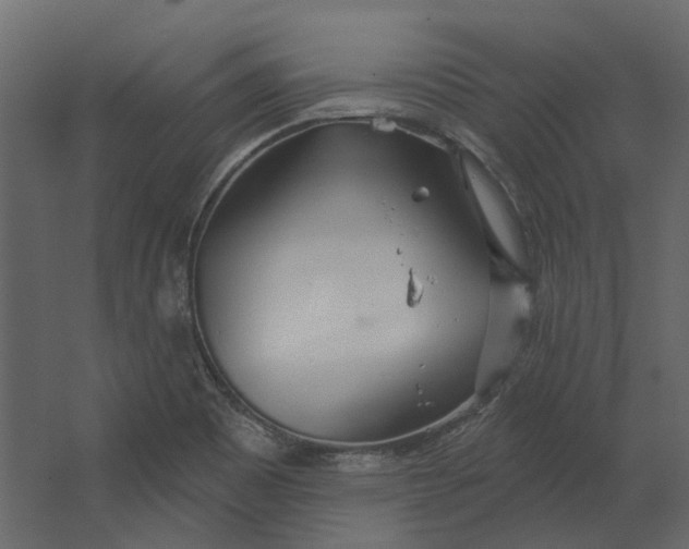 X0000067491465200604211646