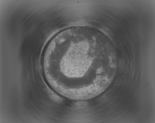 X0000067491466200604211646