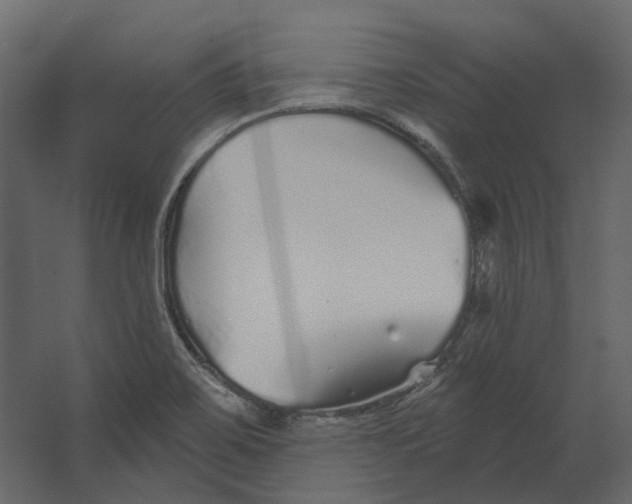 X0000067491467200604211646