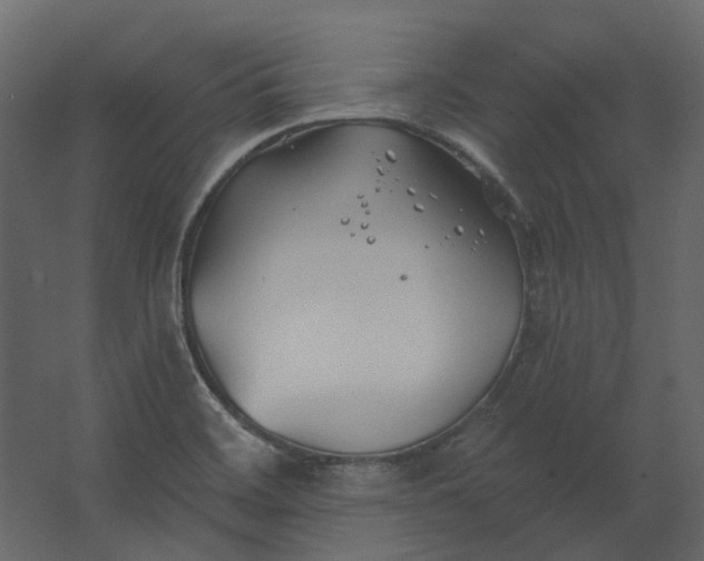 X0000067491468200604211646