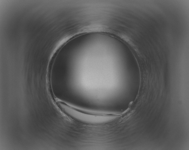 X0000067491469200604211646