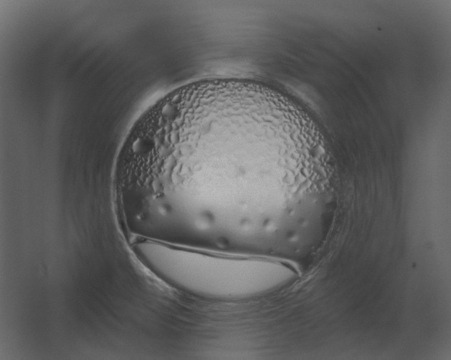 X0000067491471200604211646