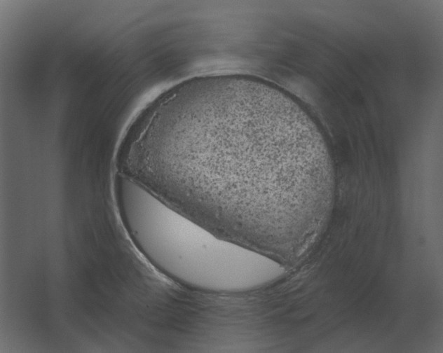 X0000067491472200604211646