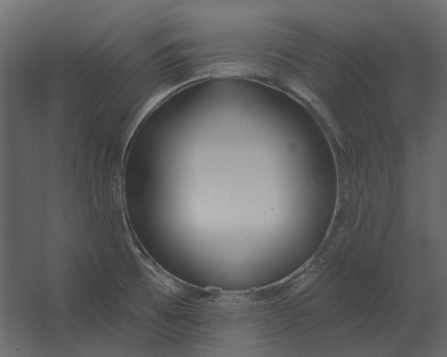 X0000067491473200604211646