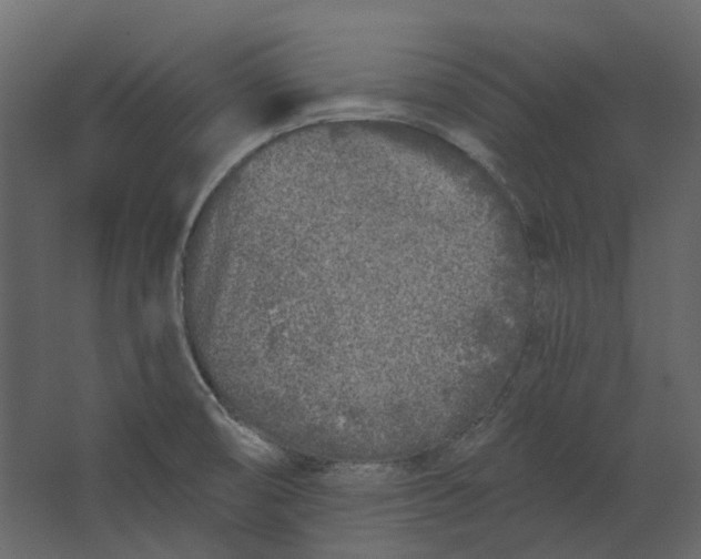 X0000067491474200604211646