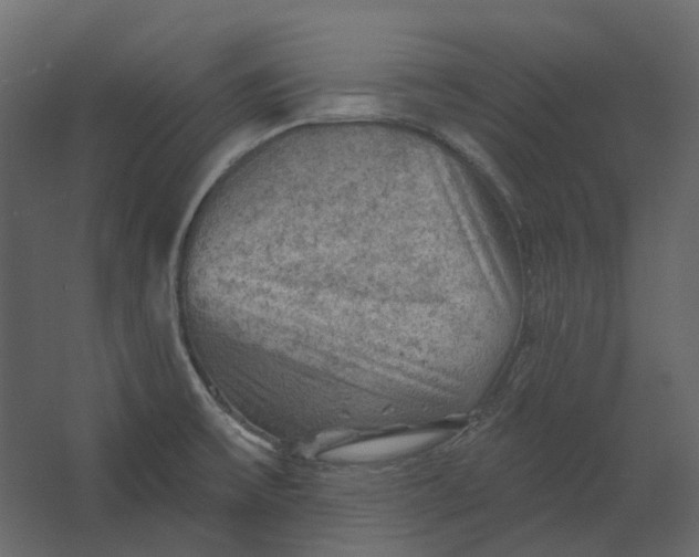 X0000067491475200604211646