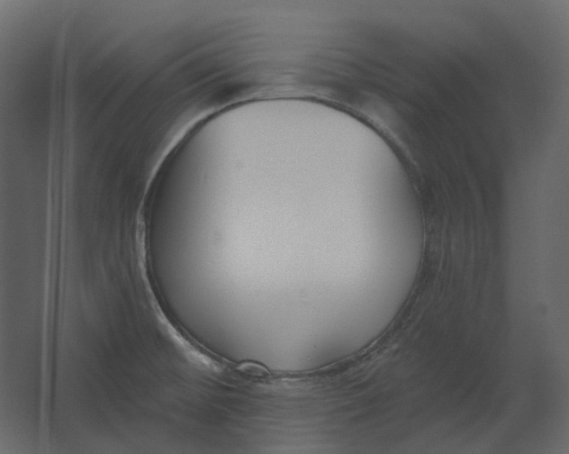 X0000067491476200604211646