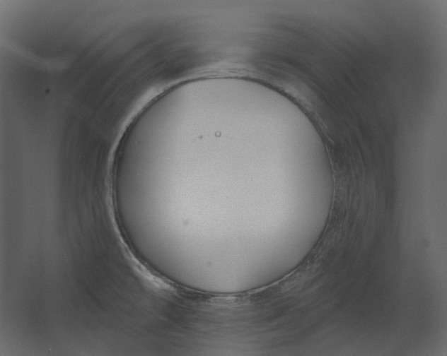 X0000067491478200604211646