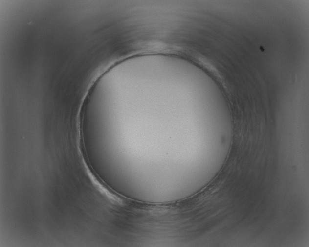 X0000067491479200604211646