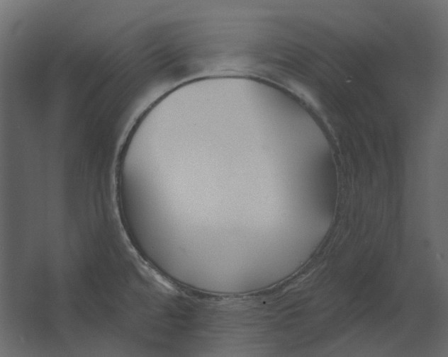 X0000067491480200604211646