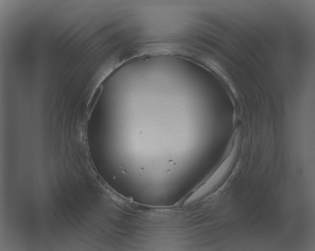 X0000067491481200604211646