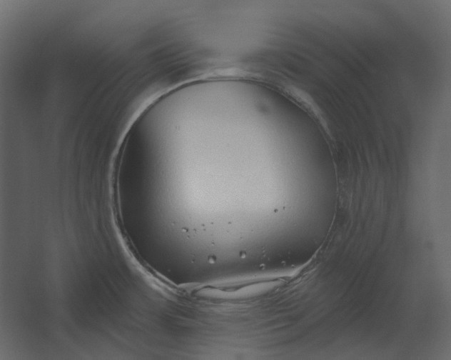 X0000067491483200604211646