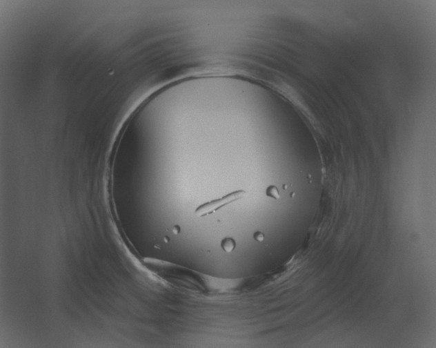 X0000067491484200604211646