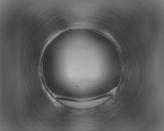 X0000067491485200604211646