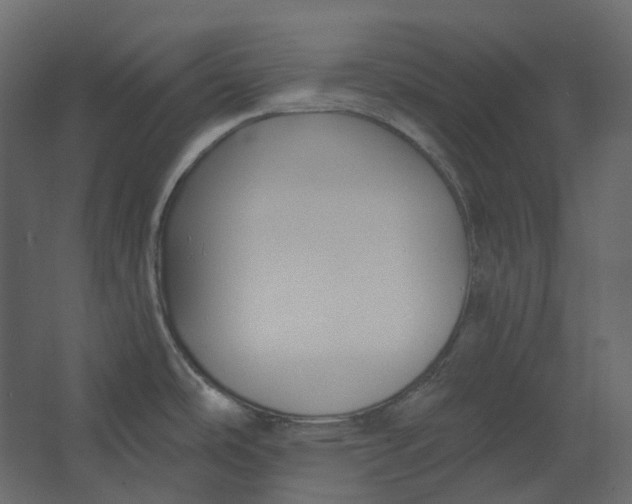 X0000067491486200604211646