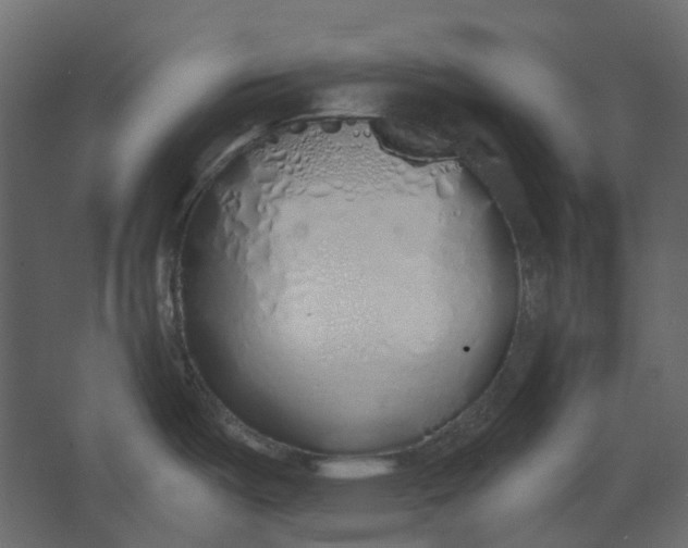 X0000067491487200604211646