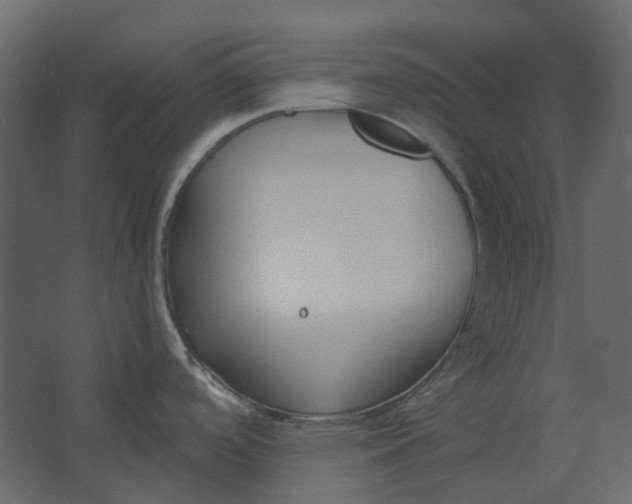 X0000067491488200604211646