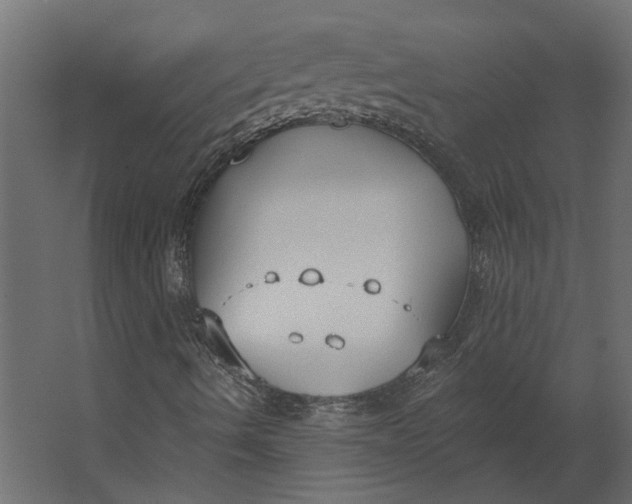 X0000067491490200604211645