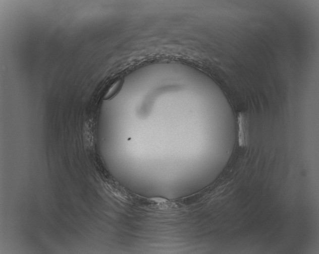 X0000067491491200604211645